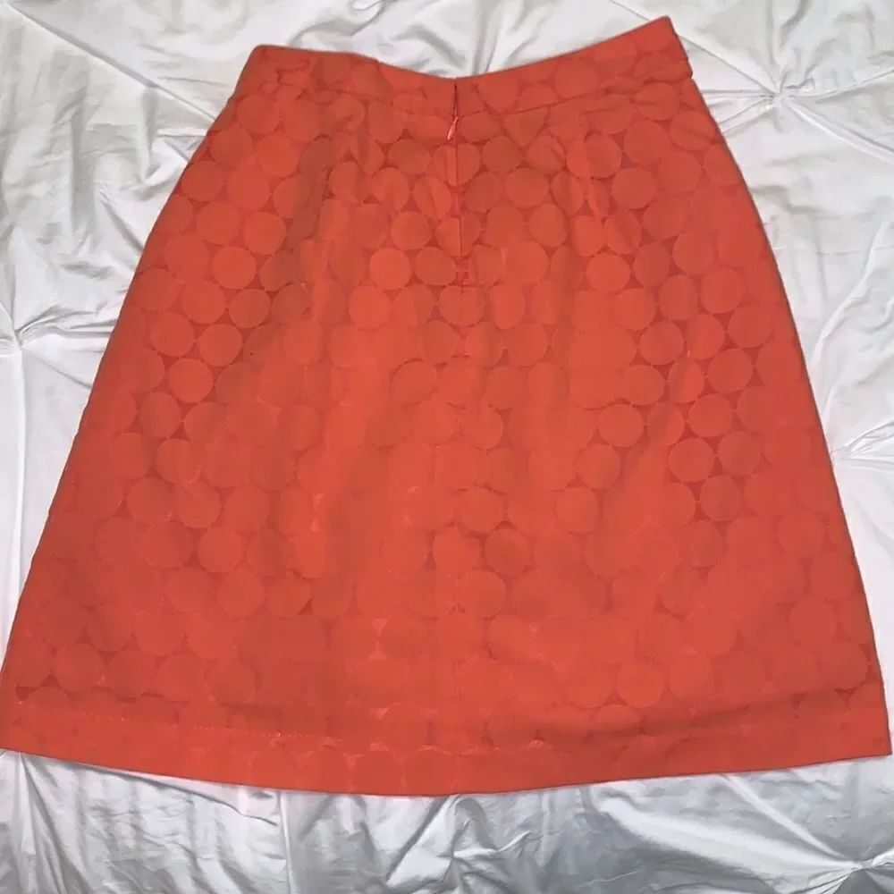 The Limited Skirt - Picture 3 of 5